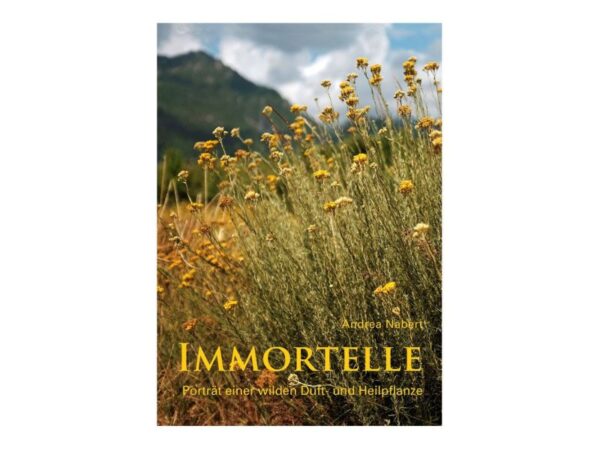 Immortelle Porträt einer wilden Duft und Heilpflanze
