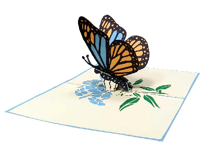 Eine Klappkarte aus Papier, die aufgeklappt ist und ein blau ornageer Schmetterling zu sehen ist.