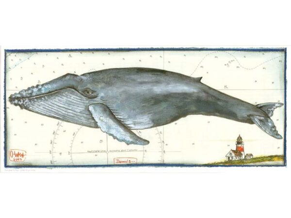 Kunstdruck: Blauwal Kunstdruck: Blauwal