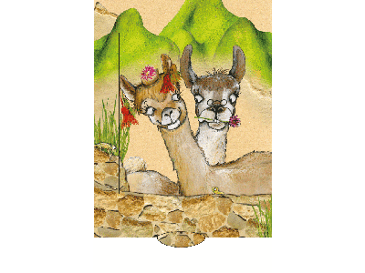 Lamas Bärenpresse - Lebende Karte - Motiv: Lamas