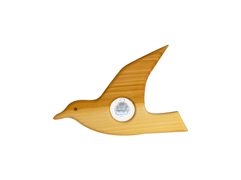 Möwe Möwe
