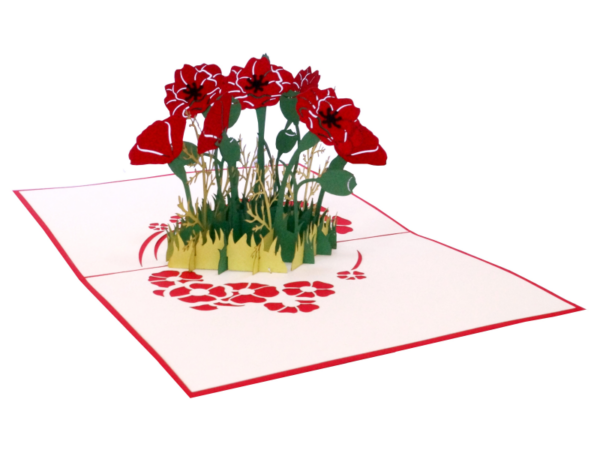 3D Klappkarte Mohnblumen rot