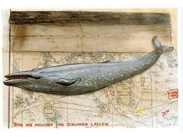 Postkarte: Wal-Bitte nur angucken und schwimmen lassen Postkarte: Wal Bitte nur angucken und schwimmen lassen