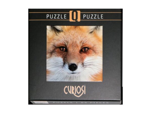 Q-Puzzle: Fuchs Q Puzzle: Fuchs
