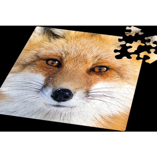 Q-Puzzle: Fuchs Q Puzzle: Fuchs