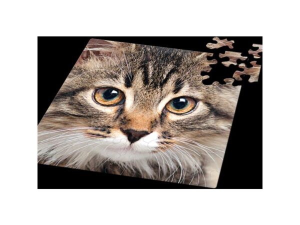 Q-Puzzle: Katze Q Puzzle: Katze