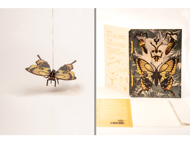 Schmetterling Grußkarte aus Holz mit Motiv zum Ausstanzen: Schmetterling