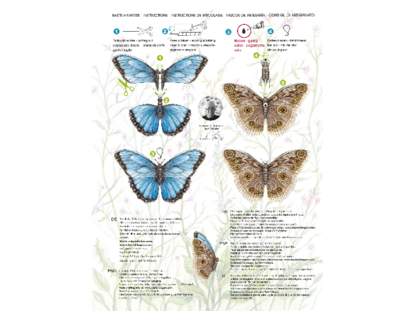 Schmetterlinge Bastellbogen aus Papier - Motiv: Schmetterlinge