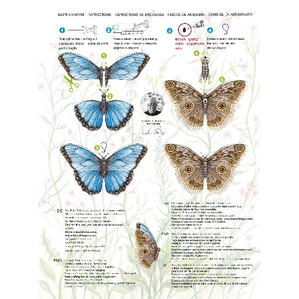 Schmetterlinge Bastellbogen aus Papier - Motiv: Schmetterlinge
