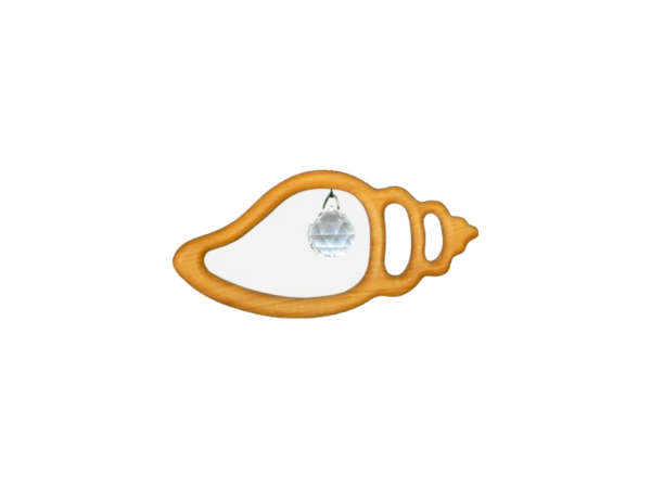 Holz und Kristall - Motiv: Strandschnecke