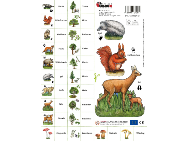 Wald Wald