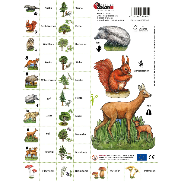 Wald Wald