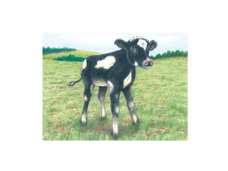 Würfelpuzzle: Bauernhoftiere Würfelpuzzle: Bauernhoftiere