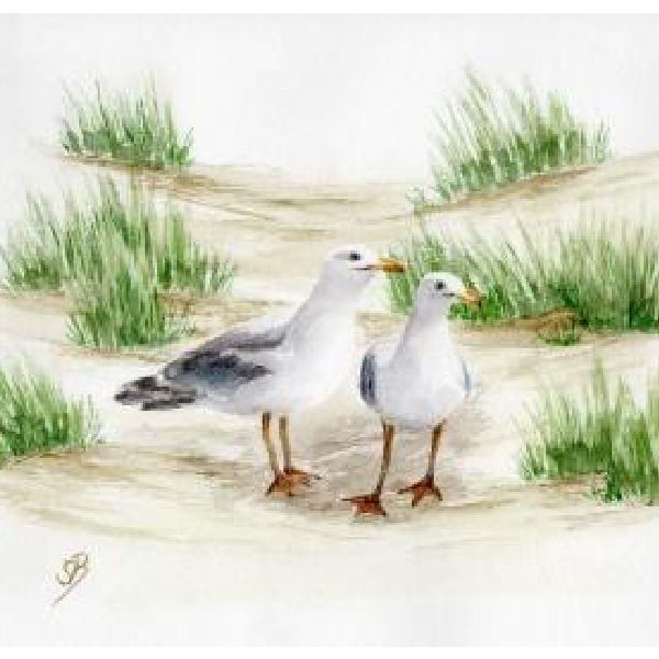 Postkarte: Möwenpaar in den Dünen