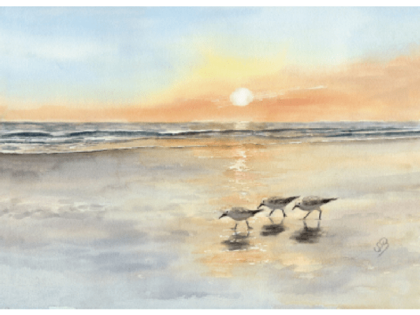Postkarte: Strandläufer