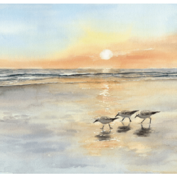 Postkarte: Strandläufer