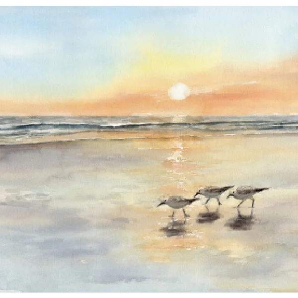 Postkarte: Strandläufer