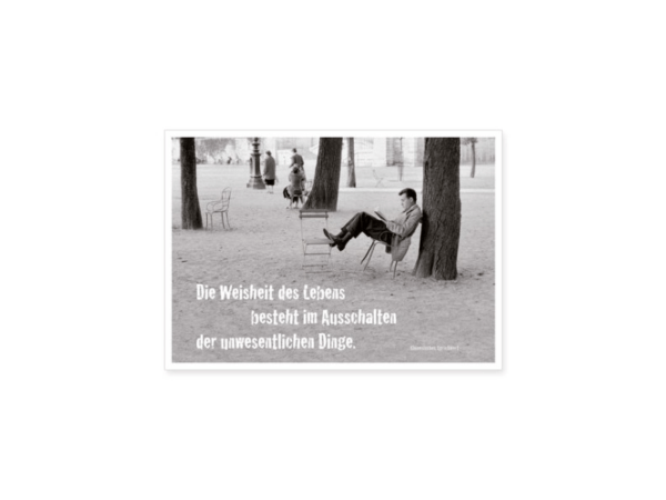 Postkarte: Die Weisheit des Lebens