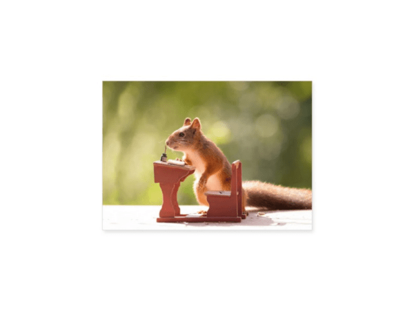 Postkarte: Eichhörnchen Schule