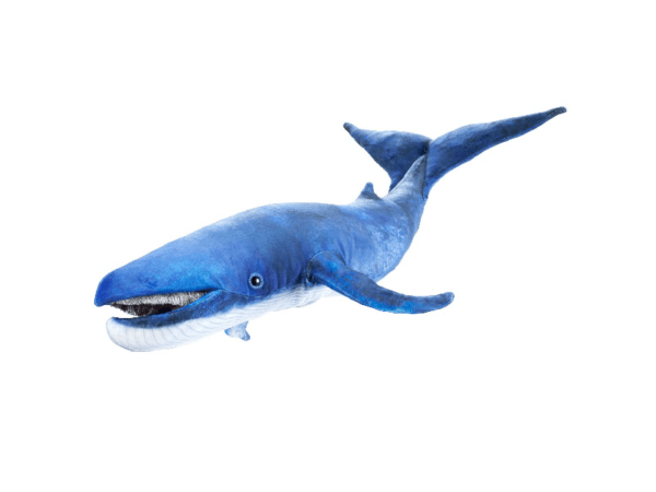 Handpuppe: Blauwal