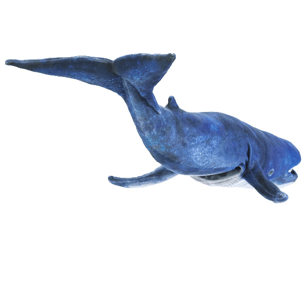 Handpuppe: Blauwal