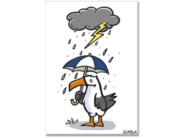 Magnet: Gewittermöwe