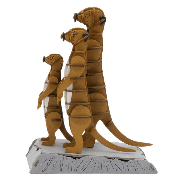 Erdmännchen Erdmännchen