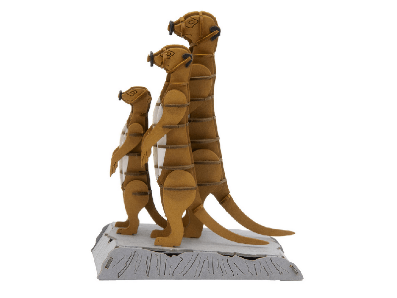 Erdmännchen