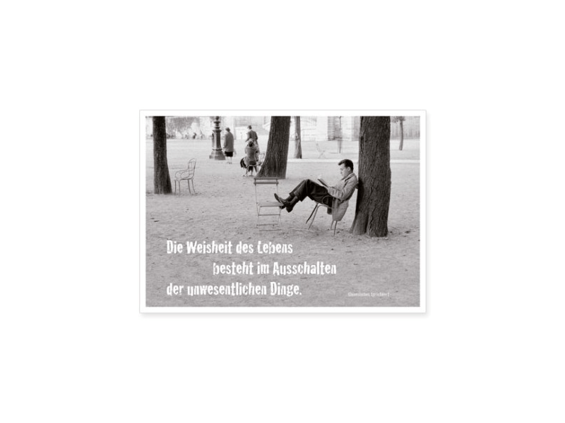 Postkarte: Die Weisheit des Lebens
