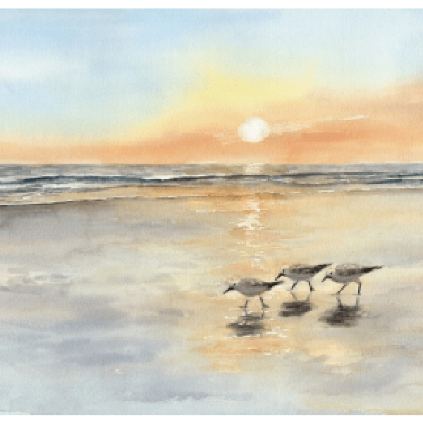 Postkarte: Strandläufer Postkarte: Strandläufer