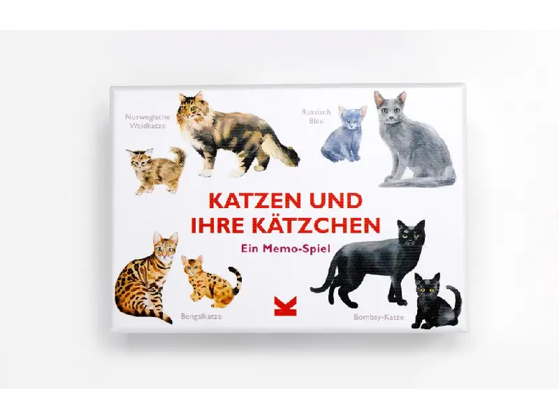 Spiel: Katzen und ihre Kätzchen